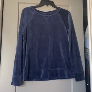 Blue Velvet Sweatshirt